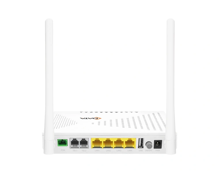 gpon ont with voice

