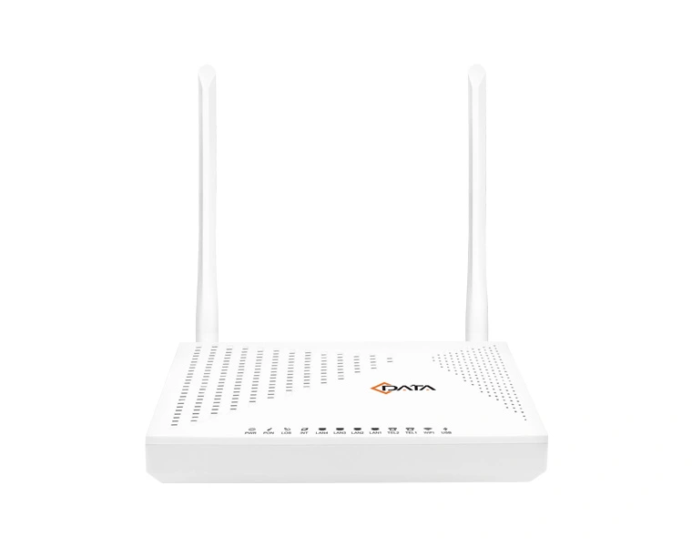 ont with voice port
