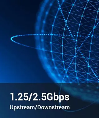 Efficient Fiber Connectivity