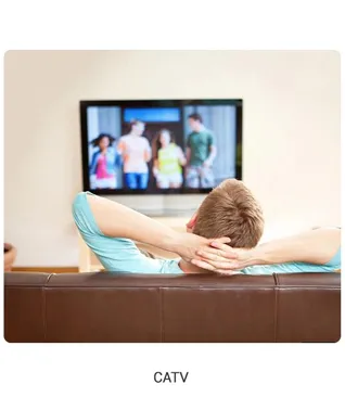 panel type onu for catv