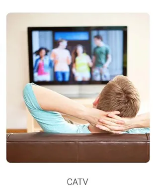 triple play onu for catv