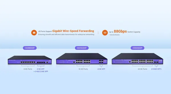 Multiple-Port Gigabit Switches Delivering Exceptional Performance
