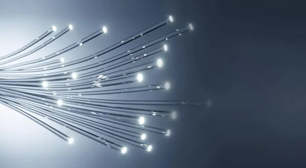 Support Multiple Services, Saving Fiber Resources