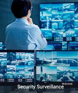 unmanaged switch for security surveillance