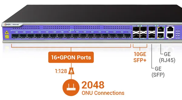 High-Capacity PON Access