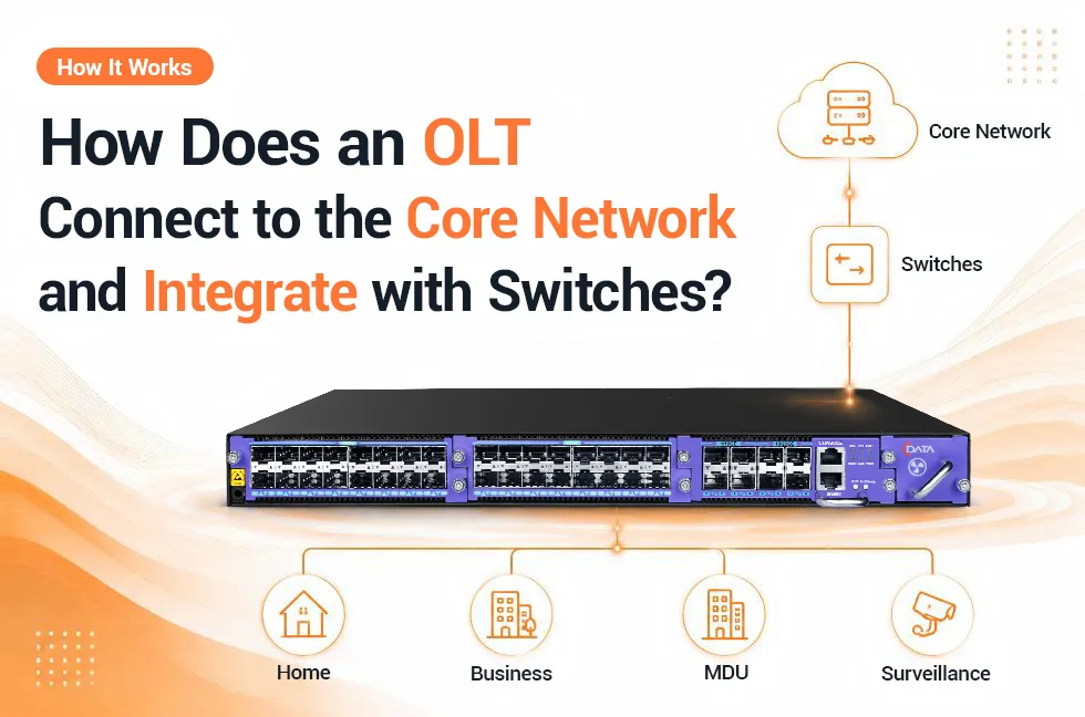How Does an OLT Connect to the Core Network and Integrate with Switches?